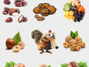 年貨盛宴 堅果干果海報設計素材全攻略