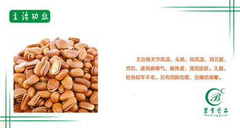 品味自然饋贈 碧享食品250g罐裝松子，開啟健康零食新風尚